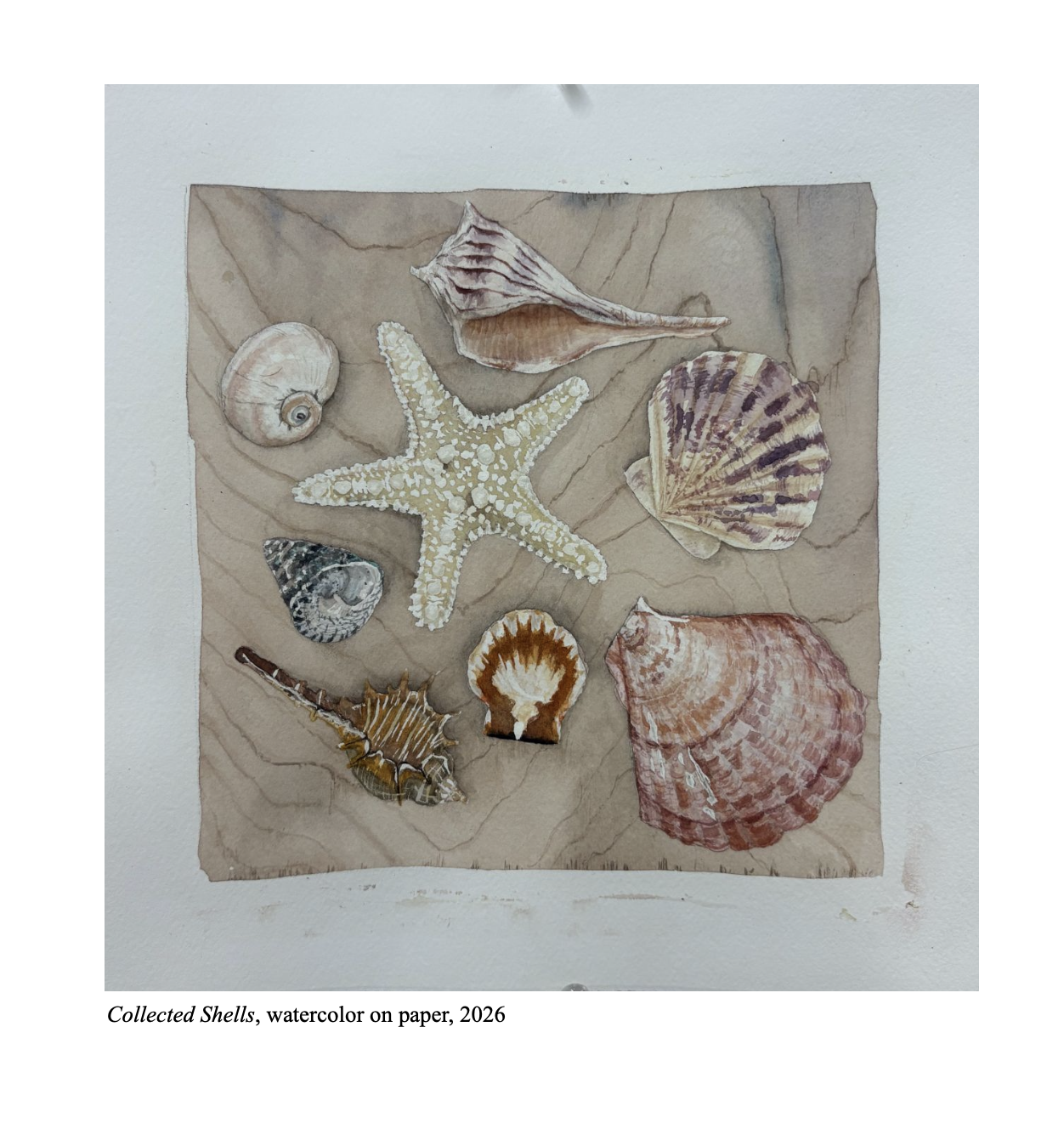 Collected Shells