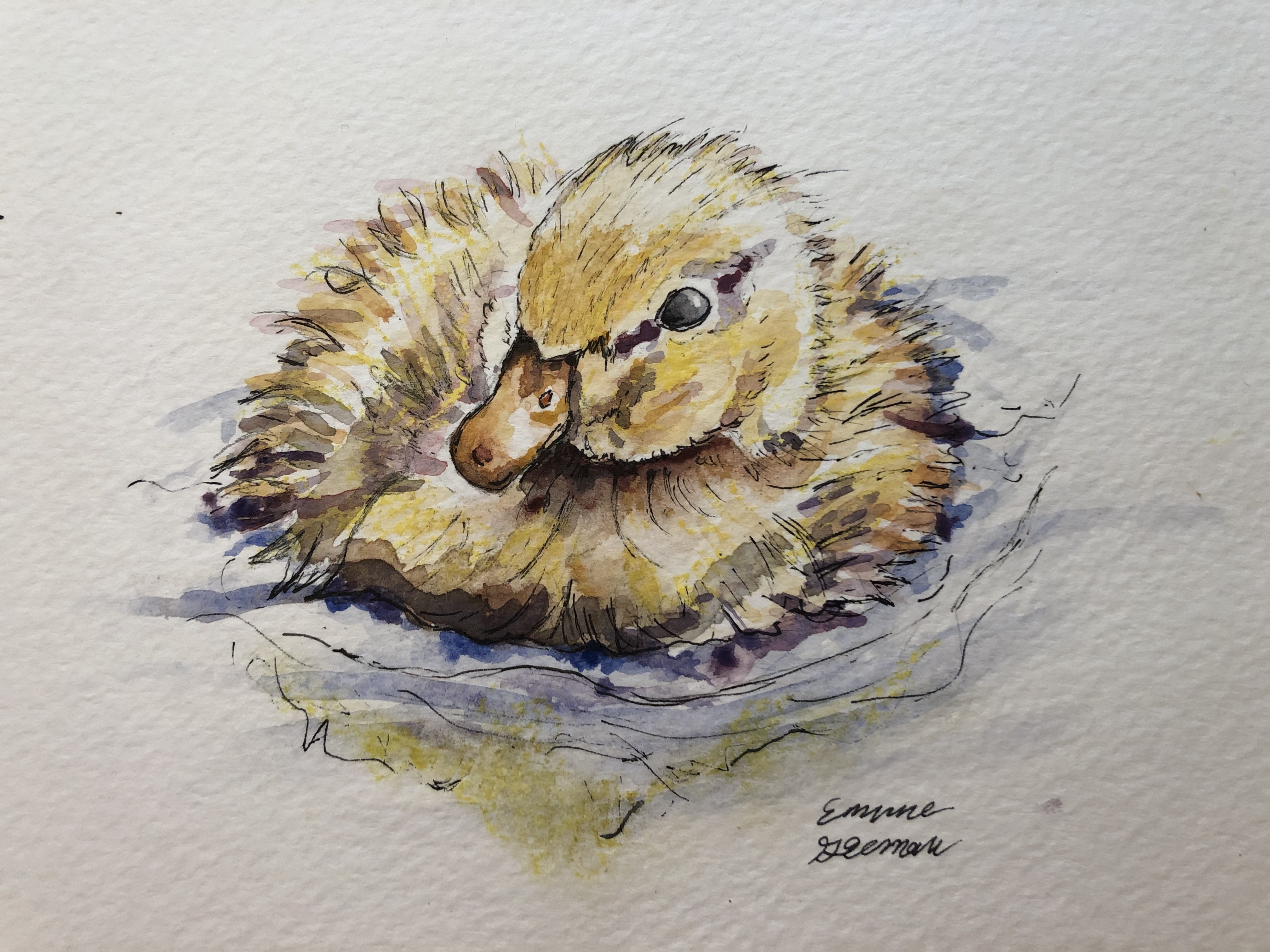 Duckling