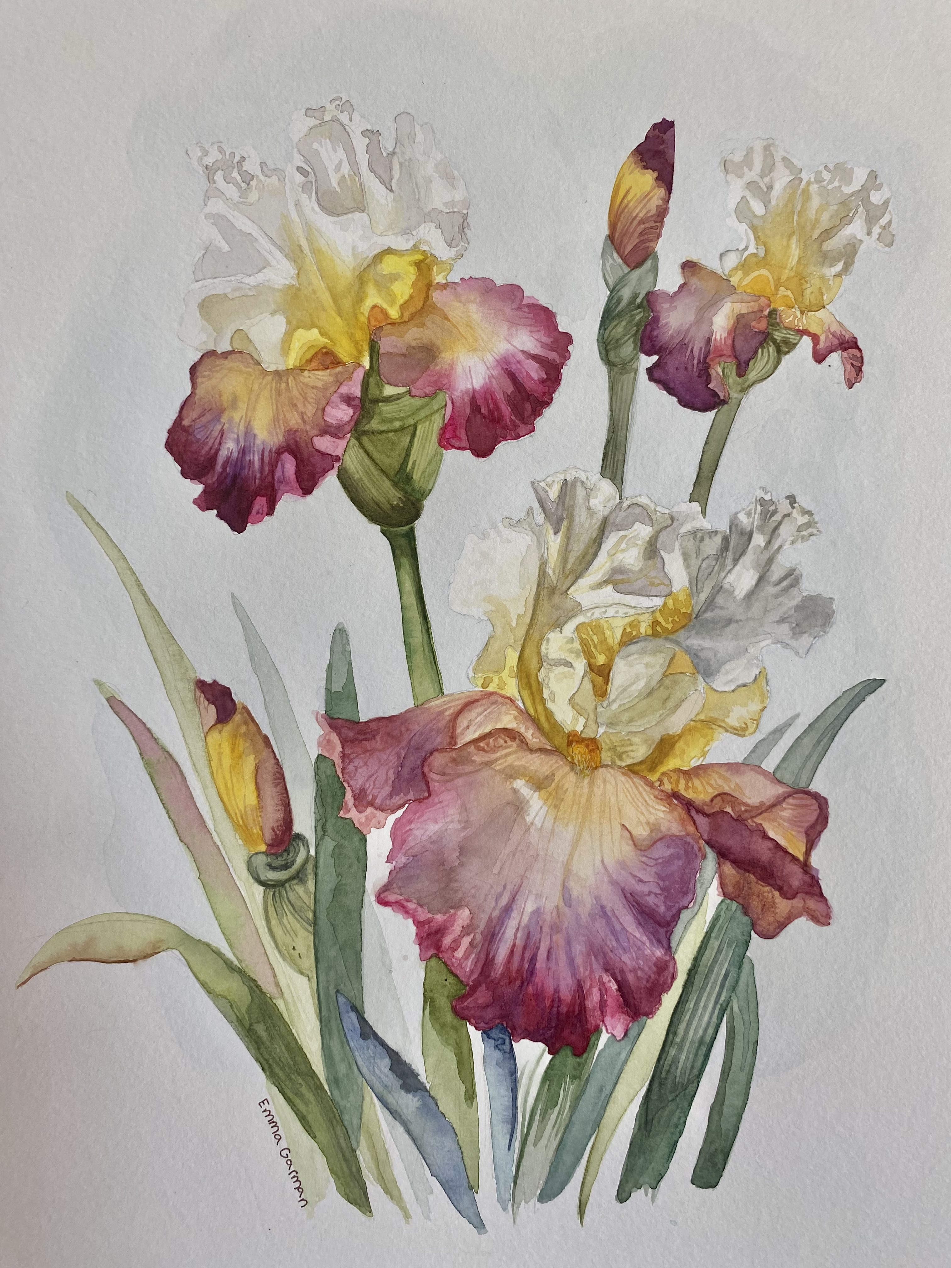 Narcissus For Nana