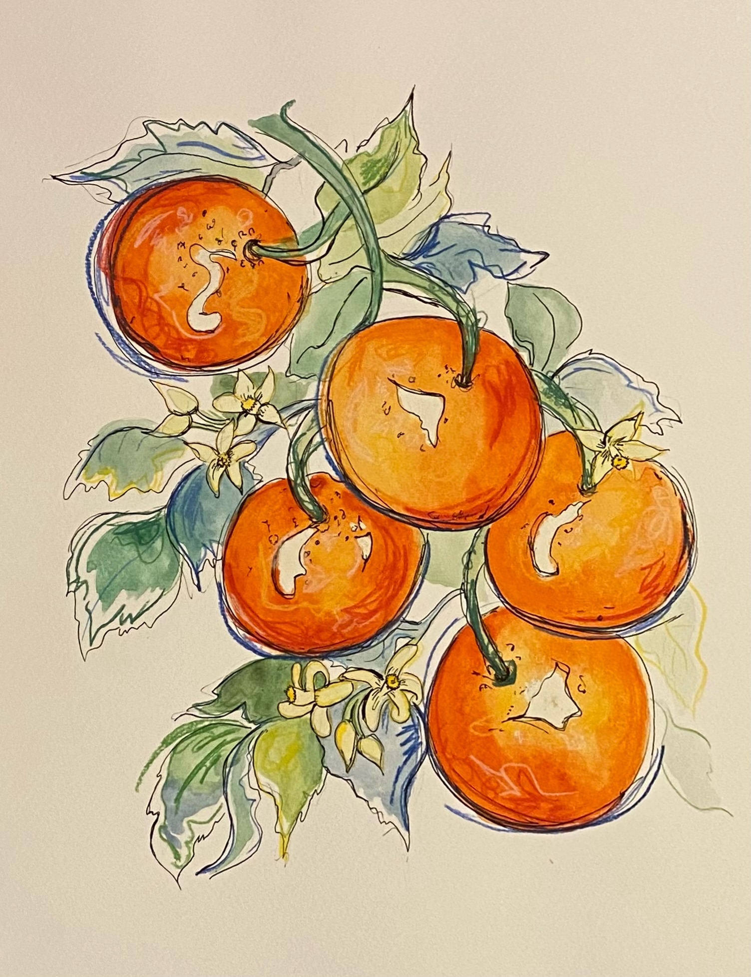 Oranges